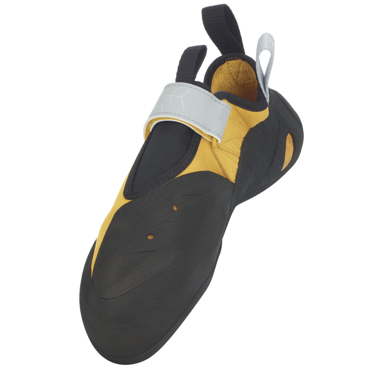 TN Pro