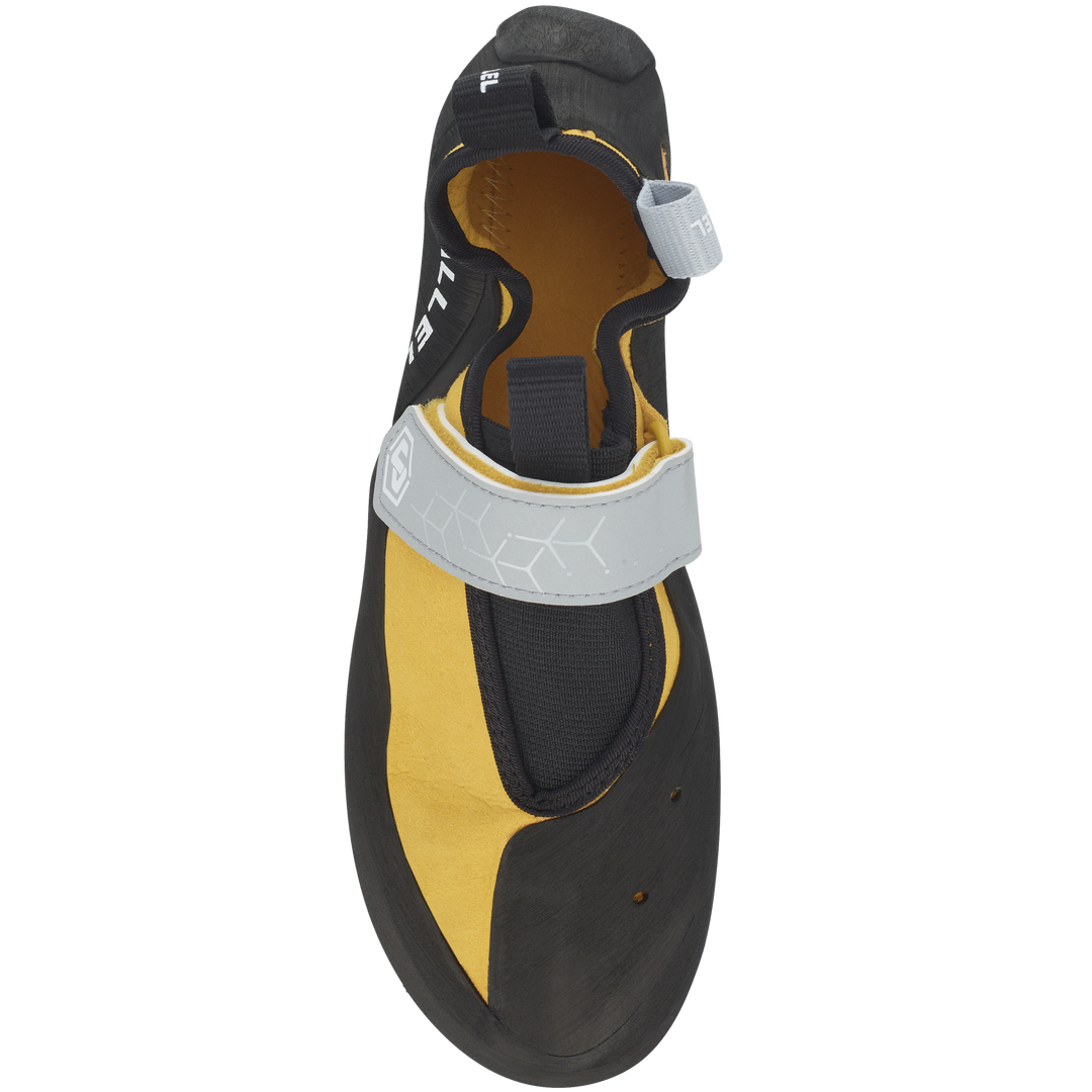 TN Pro