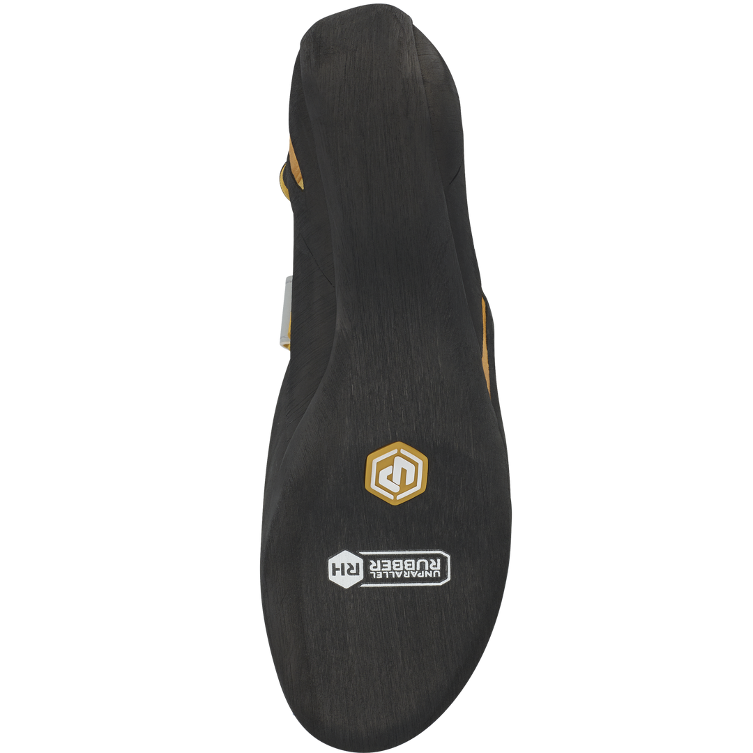 TN Pro