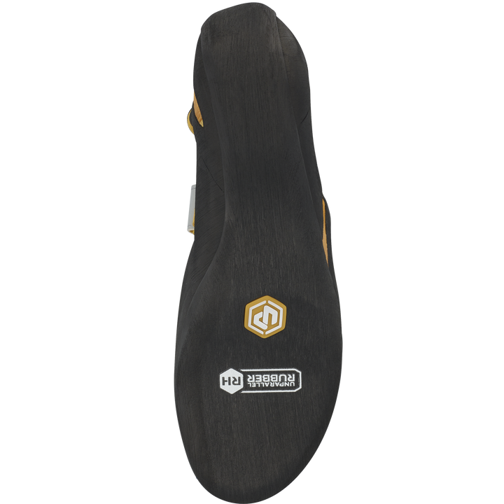 TN Pro