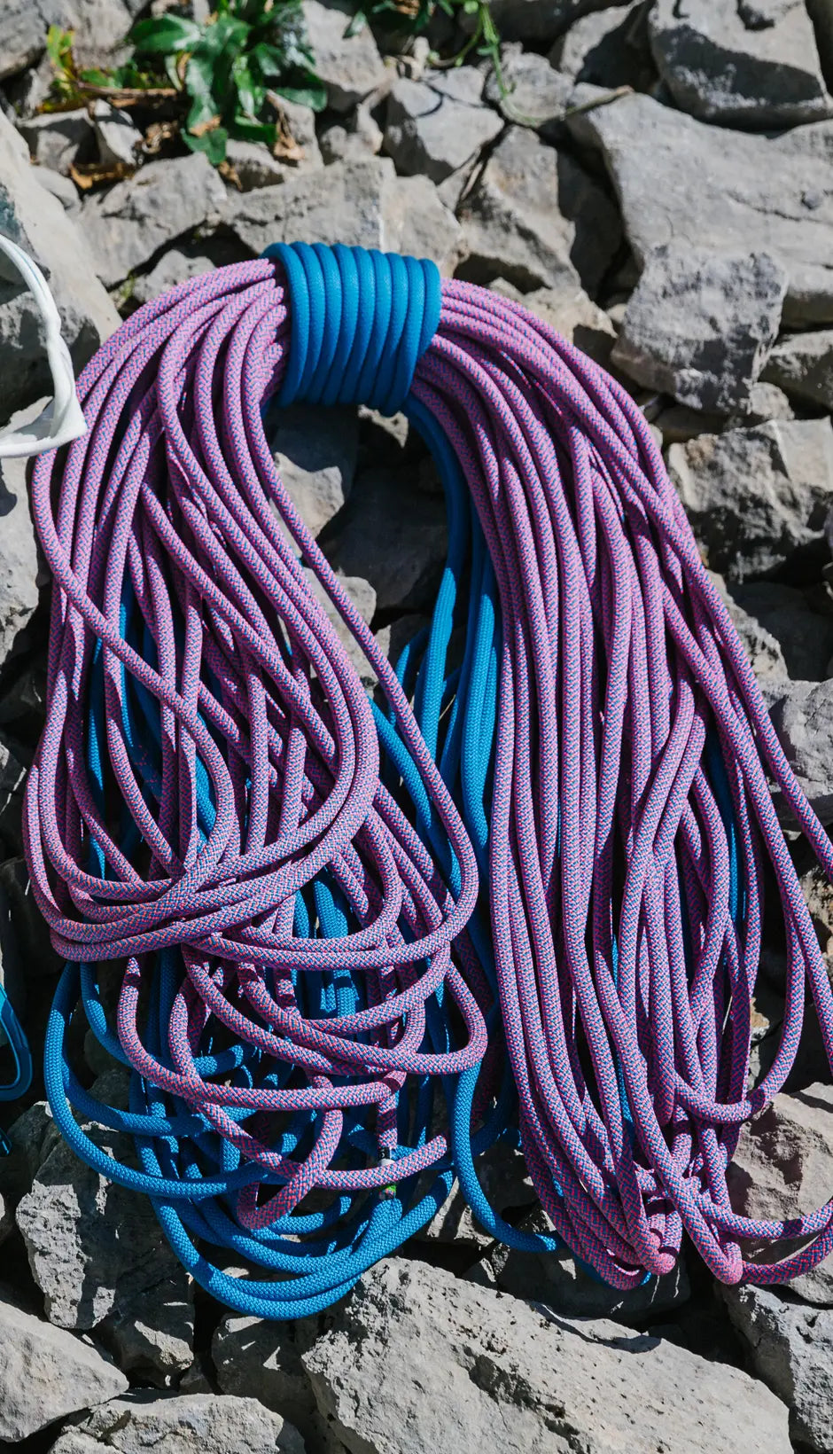 Tommy Caldwell Eco Dry ColorTec 9.3mm