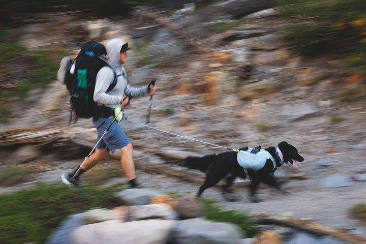 Hitch Hiker™ Leash