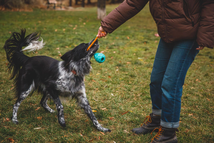 Huck-a-Cone™ Rubber Tug Toy