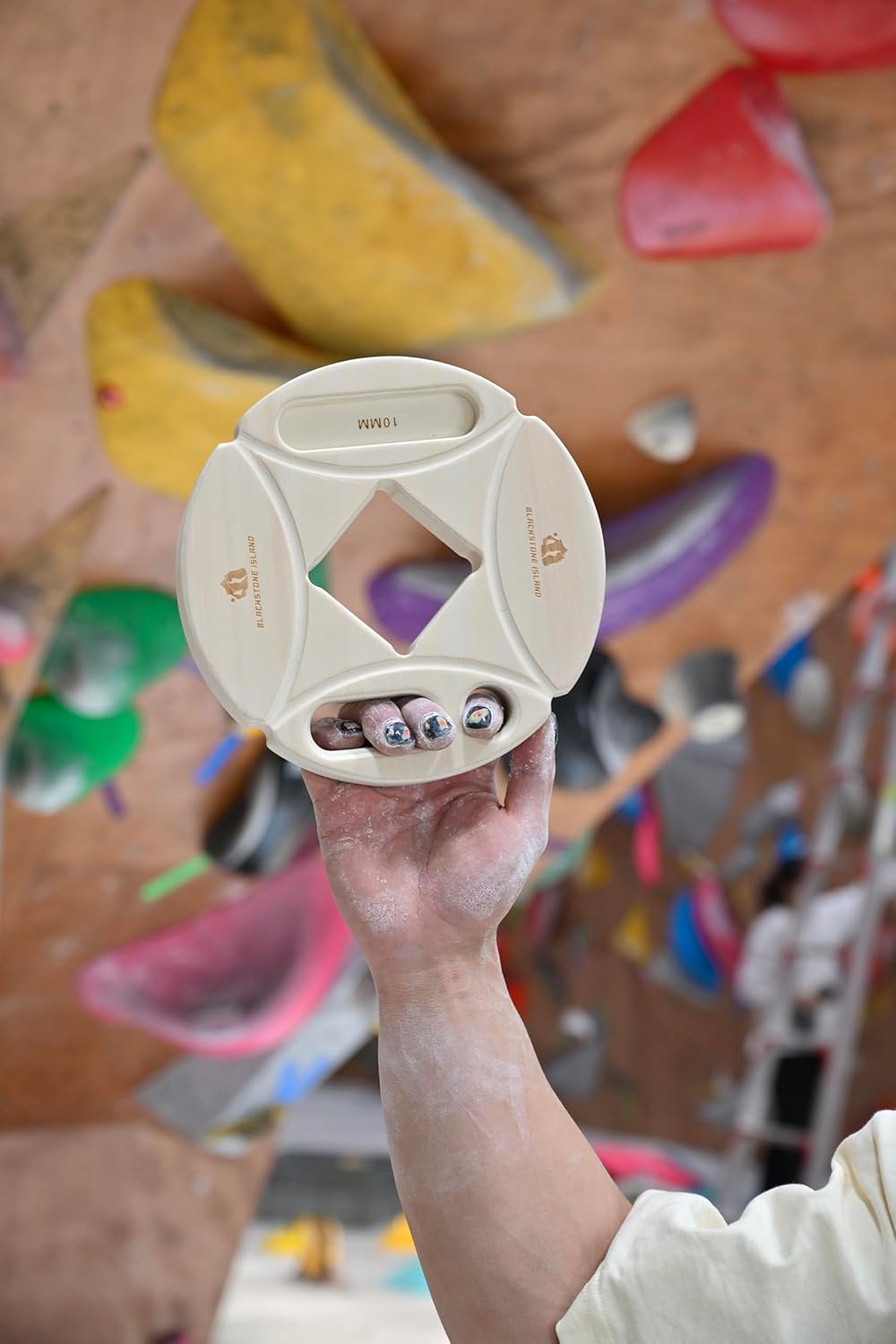 Blackstone Island Portable Hangboard Circle